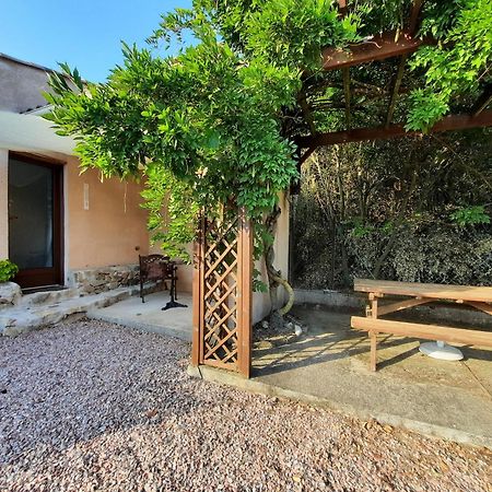 Le Lodge Des Chenes Brousses-et-Villaret Buitenkant foto