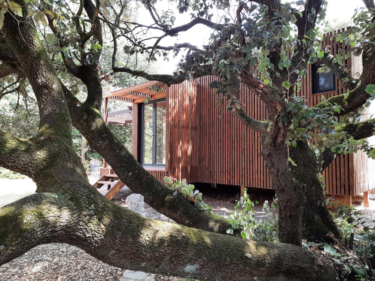 Le Lodge Des Chenes Brousses-et-Villaret Buitenkant foto
