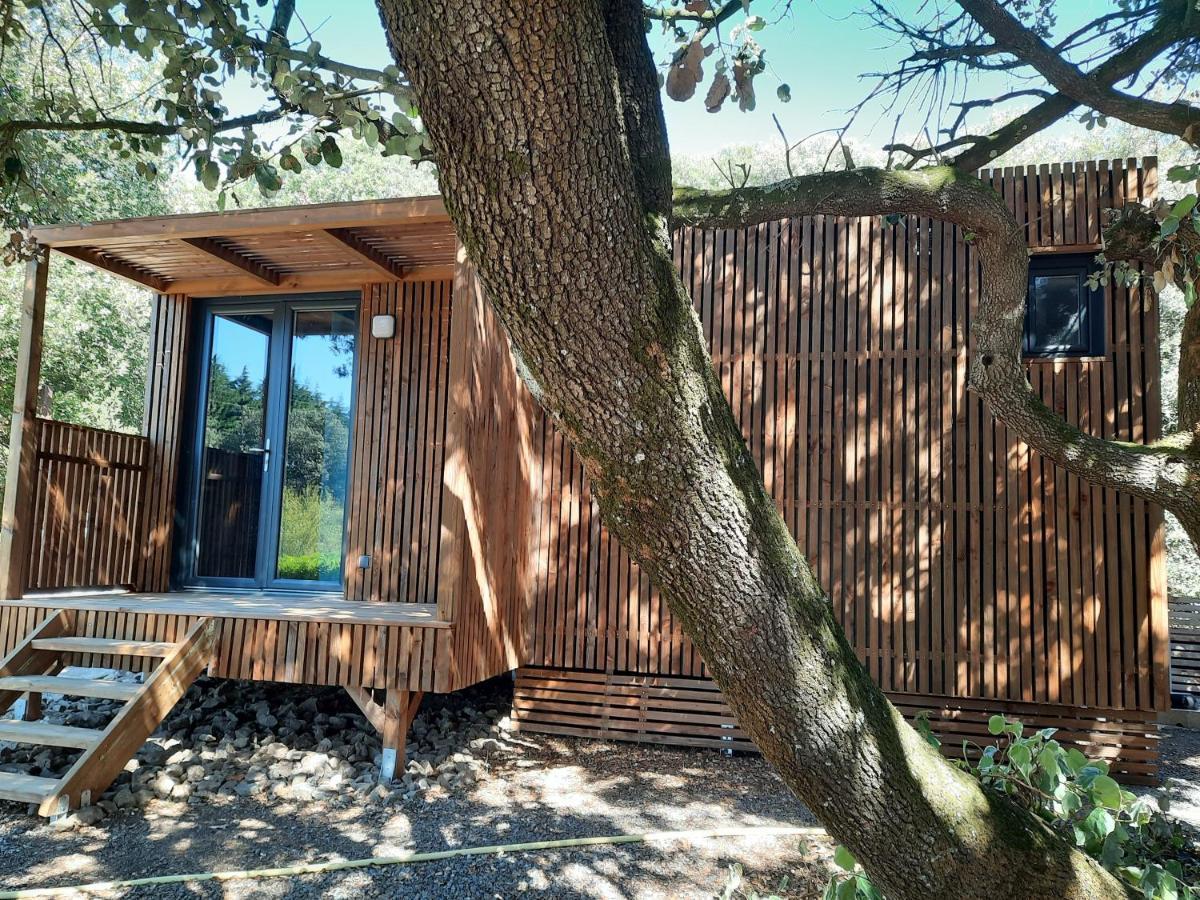 Le Lodge Des Chenes Brousses-et-Villaret Buitenkant foto